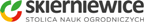 logo skier